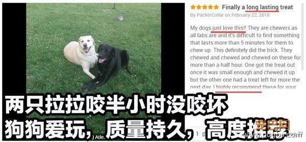 狗狗天天独处太可怜？买套星记玩具，赶走它的孤单寂寞-17.jpeg