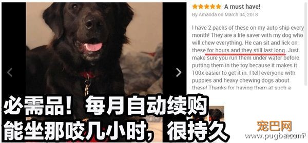 狗狗天天独处太可怜？买套星记玩具，赶走它的孤单寂寞-22.jpeg