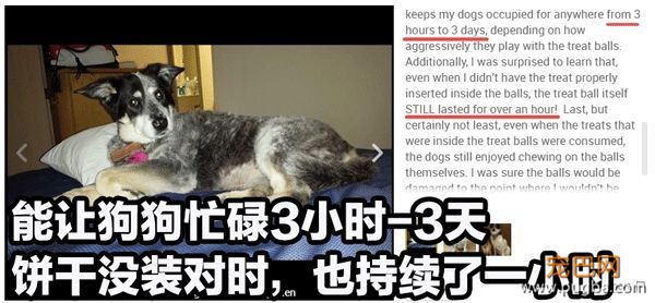 狗狗天天独处太可怜？买套星记玩具，赶走它的孤单寂寞-21.jpeg