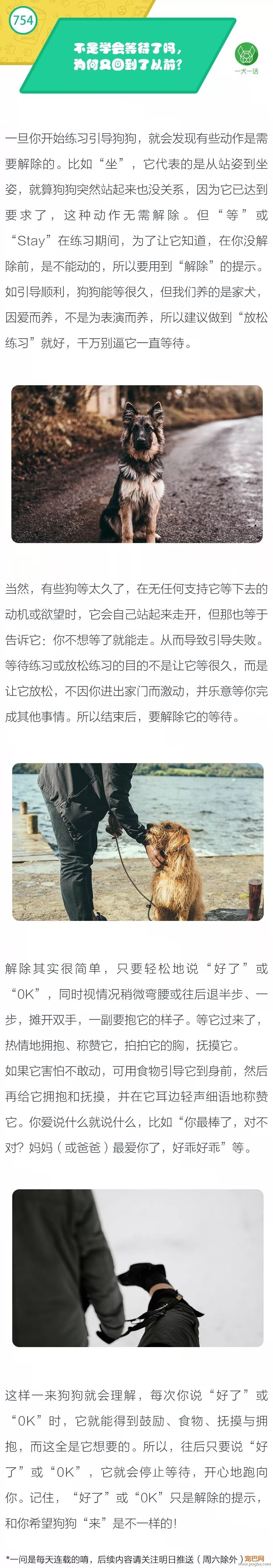不是学会等待了吗，为何又回到了从前？-1.jpeg
