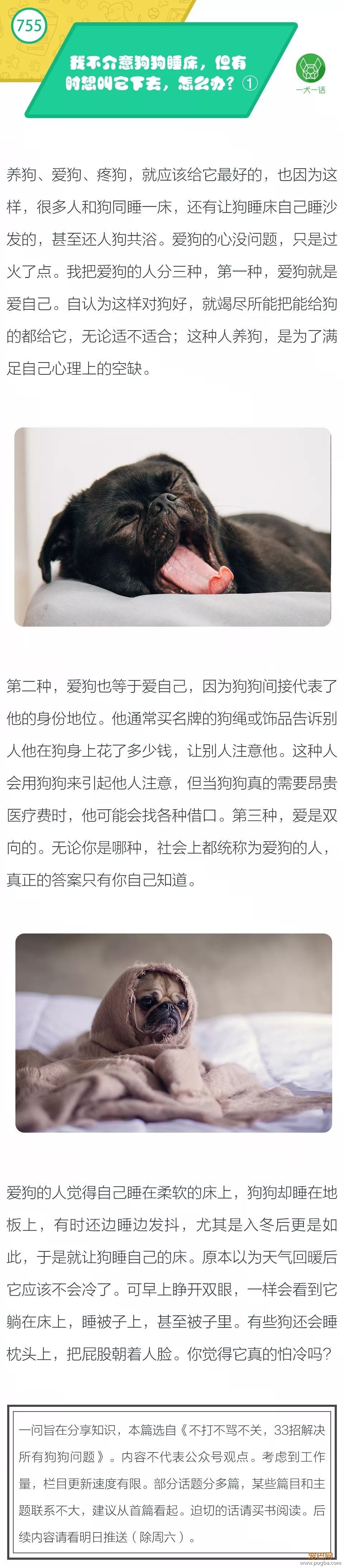 我不介意狗狗睡床，但有时想叫它下去，怎么办？①-1.jpeg