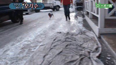 只给狗狗一口饭吃的主人，能算主人吗？-2.gif