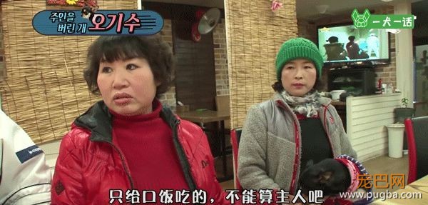 只给狗狗一口饭吃的主人，能算主人吗？-5.jpeg