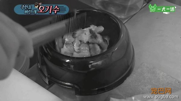 只给狗狗一口饭吃的主人，能算主人吗？-6.jpeg