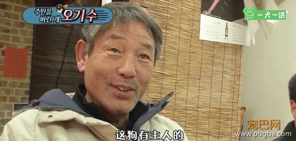 只给狗狗一口饭吃的主人，能算主人吗？-9.jpeg
