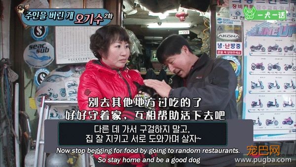 只给狗狗一口饭吃的主人，能算主人吗？-15.jpeg