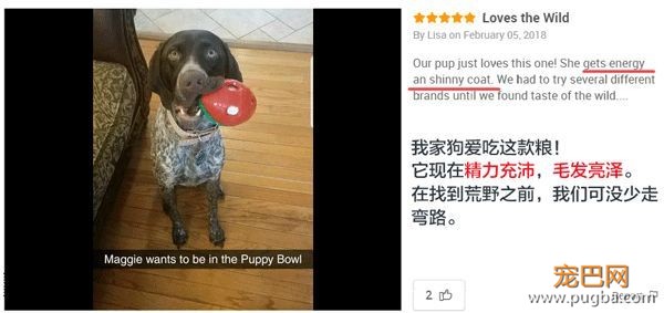 用一场来自荒野的盛宴，唤醒狗狗心中的那匹小狼-19.jpeg