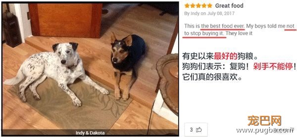 用一场来自荒野的盛宴，唤醒狗狗心中的那匹小狼-20.jpeg