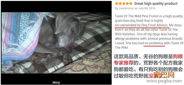 用一场来自荒野的盛宴，唤醒狗狗心中的那匹小狼-18.jpeg