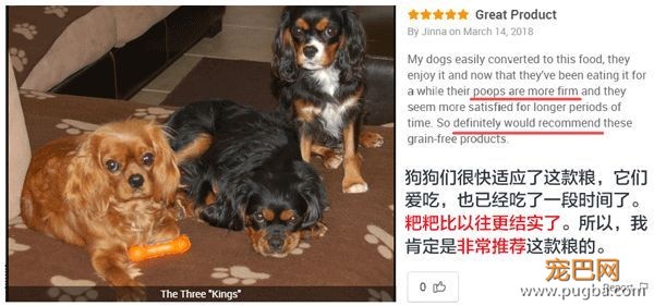用一场来自荒野的盛宴，唤醒狗狗心中的那匹小狼-17.jpeg