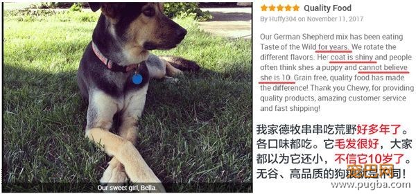 用一场来自荒野的盛宴，唤醒狗狗心中的那匹小狼-21.jpeg