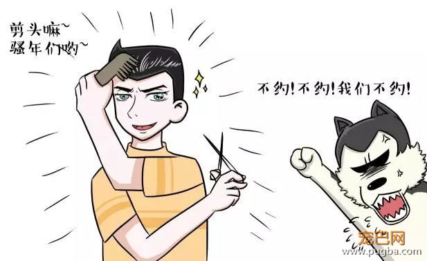天气一热，有些 * 主人又要把狗剃光了-1.jpeg