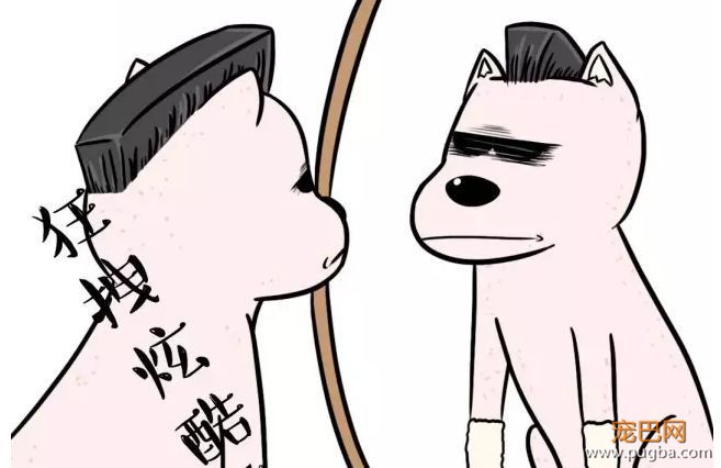 天气一热，有些 * 主人又要把狗剃光了-4.jpeg