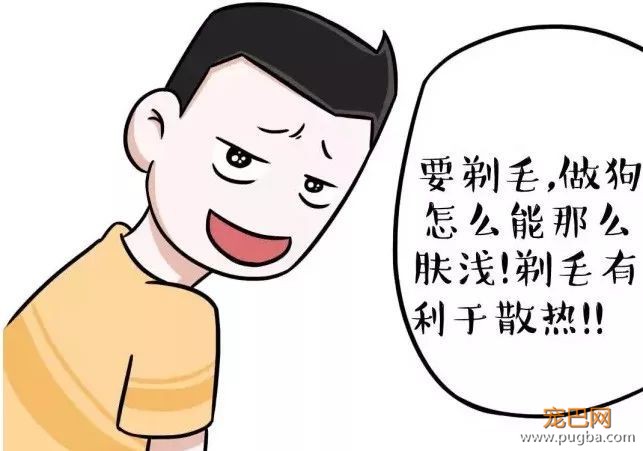 天气一热，有些 * 主人又要把狗剃光了-2.jpeg