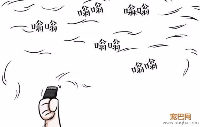 天气一热，有些 * 主人又要把狗剃光了-3.jpeg