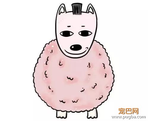 天气一热，有些 * 主人又要把狗剃光了-6.jpeg