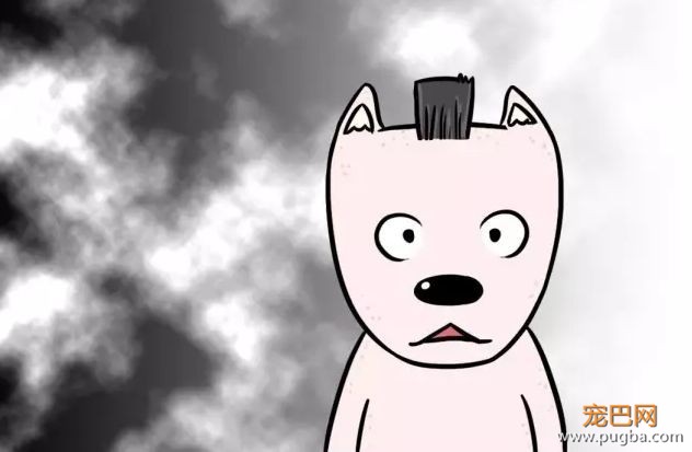 天气一热，有些 * 主人又要把狗剃光了-9.jpeg