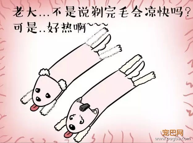 天气一热，有些 * 主人又要把狗剃光了-10.jpeg