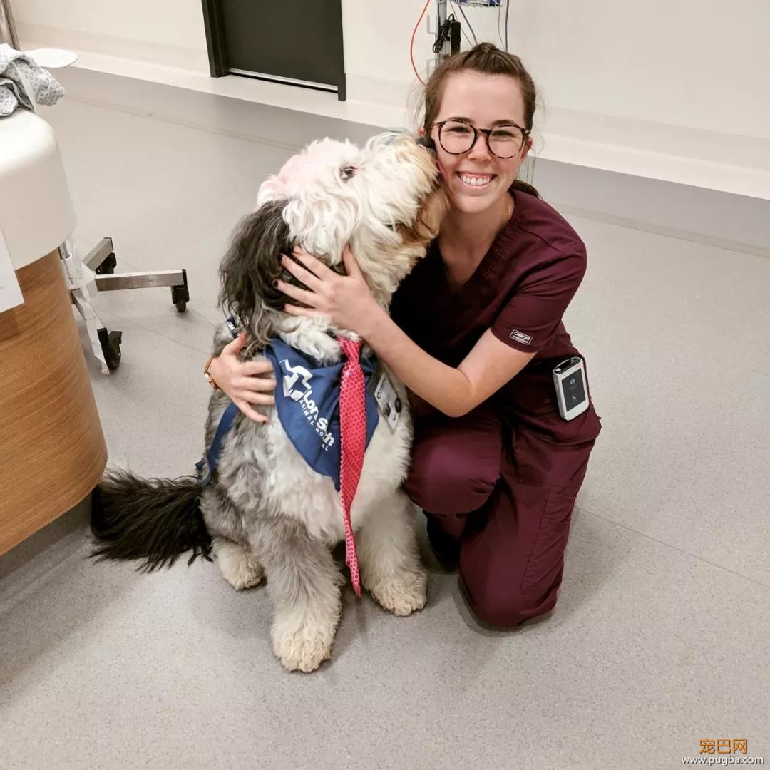 萌死了！缉毒犬看四周没人，赶紧向警员索要摸摸-17.jpg