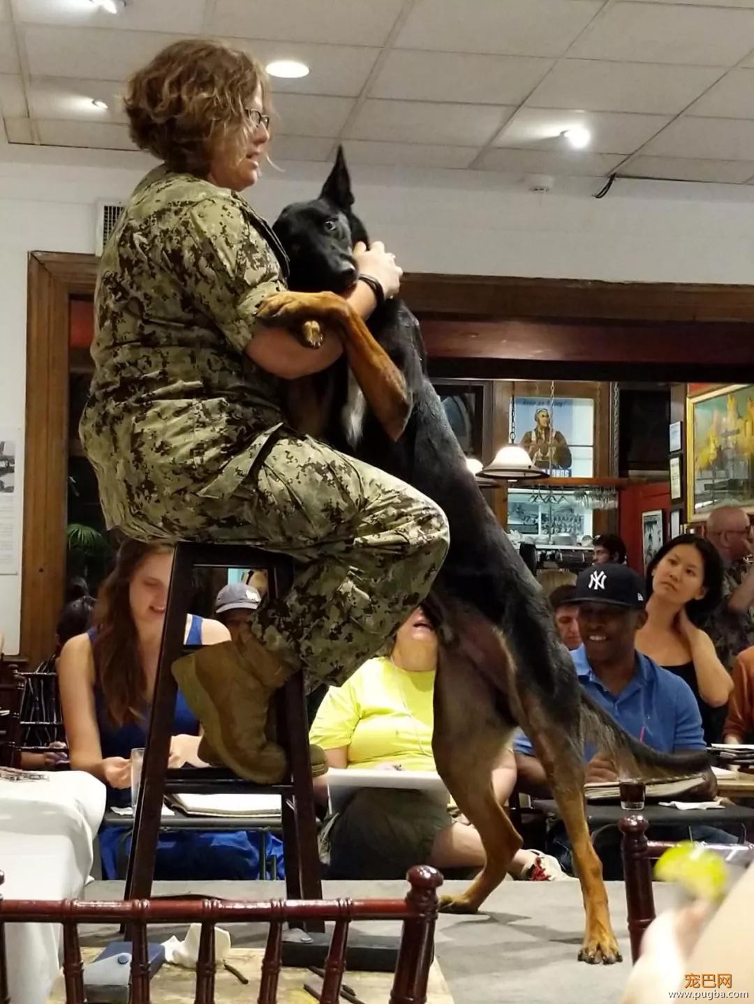 萌死了！缉毒犬看四周没人，赶紧向警员索要摸摸-19.jpg