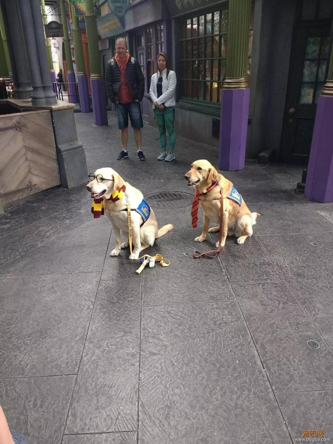 萌死了！缉毒犬看四周没人，赶紧向警员索要摸摸-24.jpg