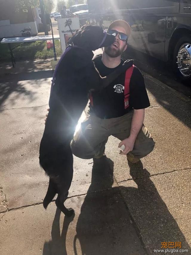 萌死了！缉毒犬看四周没人，赶紧向警员索要摸摸-25.jpg