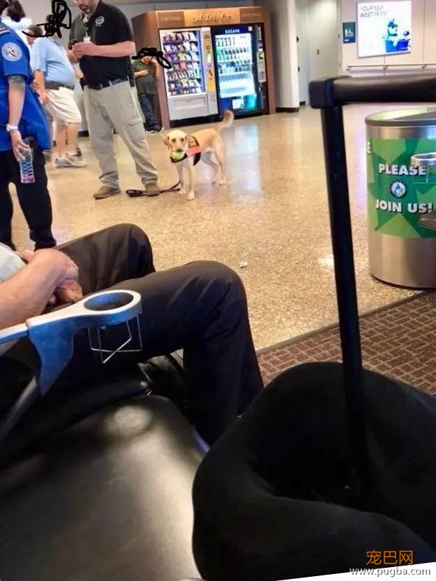 萌死了！缉毒犬看四周没人，赶紧向警员索要摸摸-27.jpg