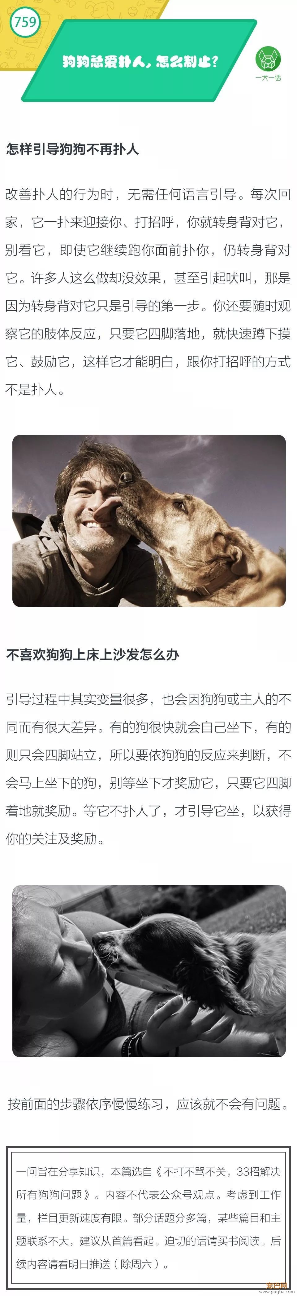 狗狗总爱扑人，怎么制止？-1.jpeg