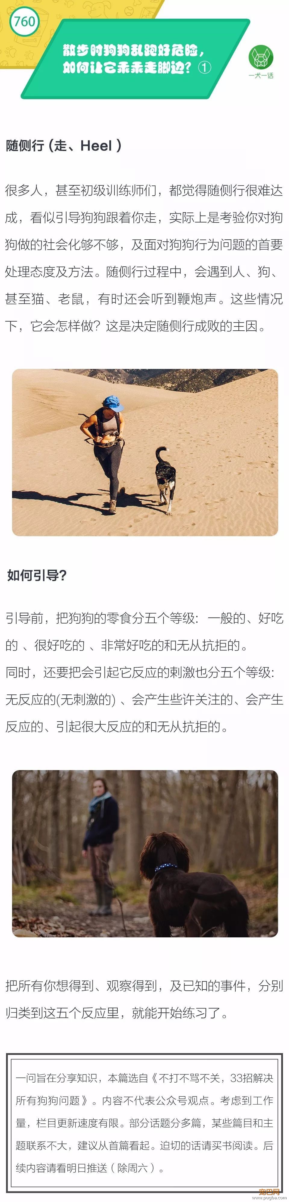 散步时狗狗乱跑好危险，如何让它乖乖走脚边？①-1.jpeg