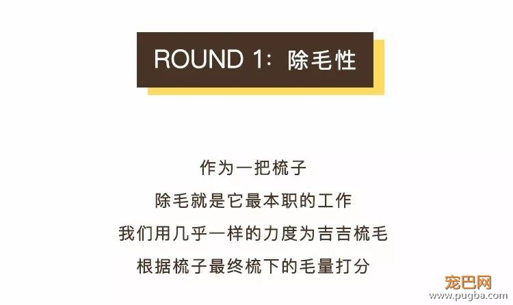 狗毛满天飞？我们试了7把梳子，发现买这1把就够了-4.jpeg