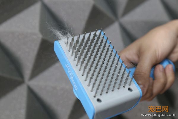 狗毛满天飞？我们试了7把梳子，发现买这1把就够了-10.jpeg