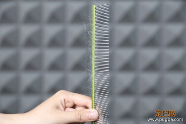 狗毛满天飞？我们试了7把梳子，发现买这1把就够了-12.jpeg