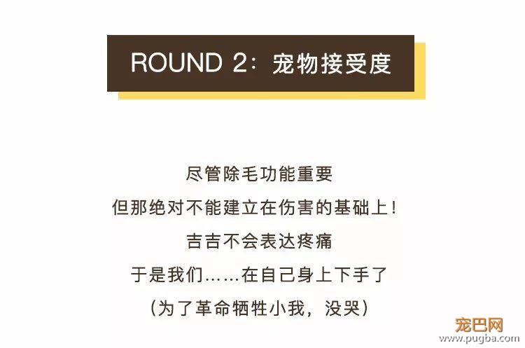 狗毛满天飞？我们试了7把梳子，发现买这1把就够了-18.jpeg