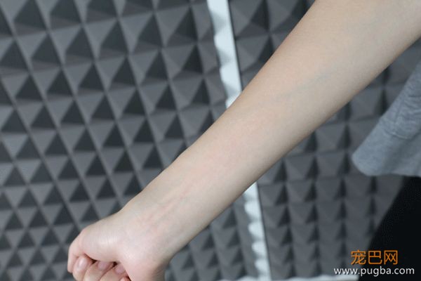 狗毛满天飞？我们试了7把梳子，发现买这1把就够了-26.jpeg