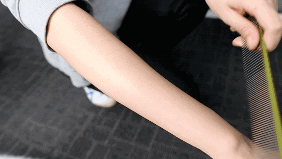 狗毛满天飞？我们试了7把梳子，发现买这1把就够了-30.gif