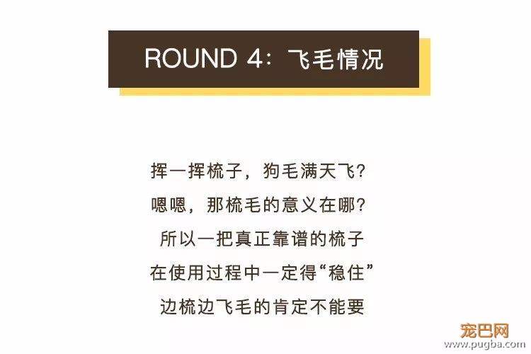 狗毛满天飞？我们试了7把梳子，发现买这1把就够了-52.jpeg