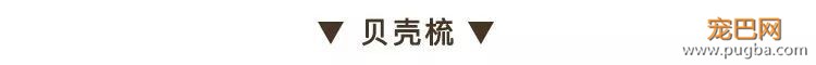 狗毛满天飞？我们试了7把梳子，发现买这1把就够了-68.jpeg
