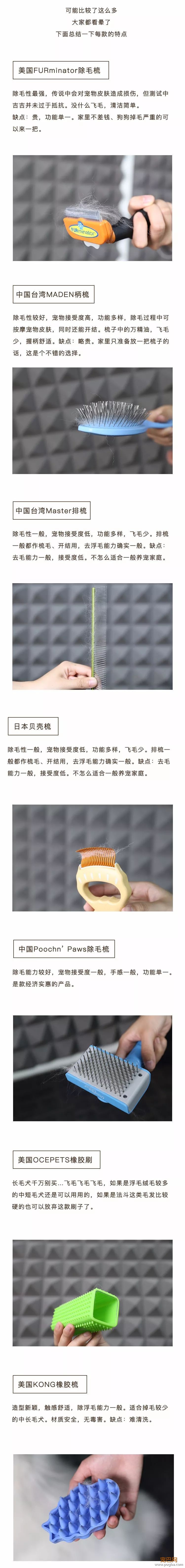 狗毛满天飞？我们试了7把梳子，发现买这1把就够了-81.jpeg
