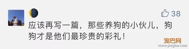 小伙带着16只狗狗向女友求婚，遇到这样的男人就嫁了吧！-1.jpg