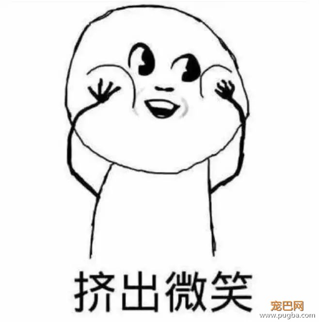 萨摩耶因薅鹅毛被批评，从夏天薅到冬天，白鹅：我遭遇了什么？-3.jpeg