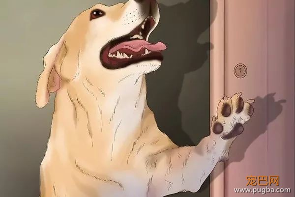 拿好这份 2557 字的宝典，回去和狗对话吧-4.jpeg