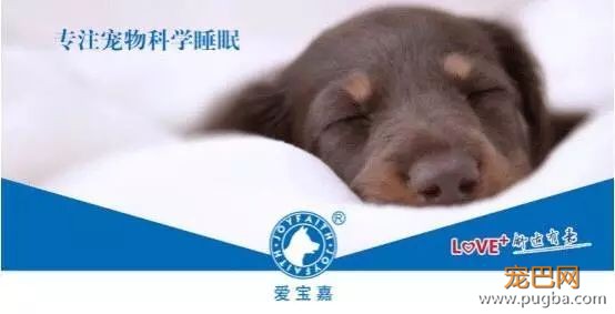 内有福利丨这张床，让狗狗在睡眠中幸福感满满！-6.jpeg