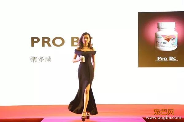 守护猫狗肠道健康这件小事，请交给台湾乐多菌Pro BC-3.jpeg