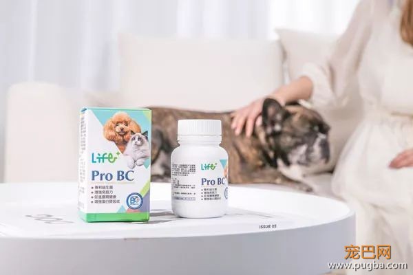 守护猫狗肠道健康这件小事，请交给台湾乐多菌Pro BC-2.jpeg