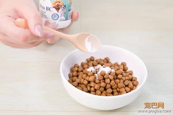 守护猫狗肠道健康这件小事，请交给台湾乐多菌Pro BC-8.jpeg