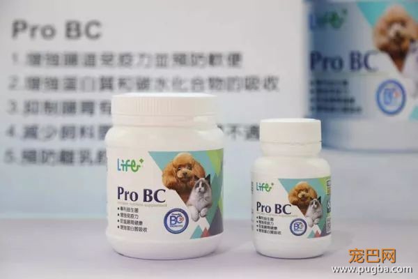 守护猫狗肠道健康这件小事，请交给台湾乐多菌Pro BC-13.jpeg