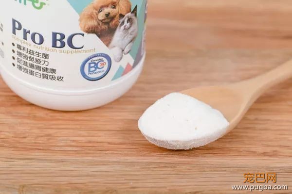 守护猫狗肠道健康这件小事，请交给台湾乐多菌Pro BC-18.jpeg