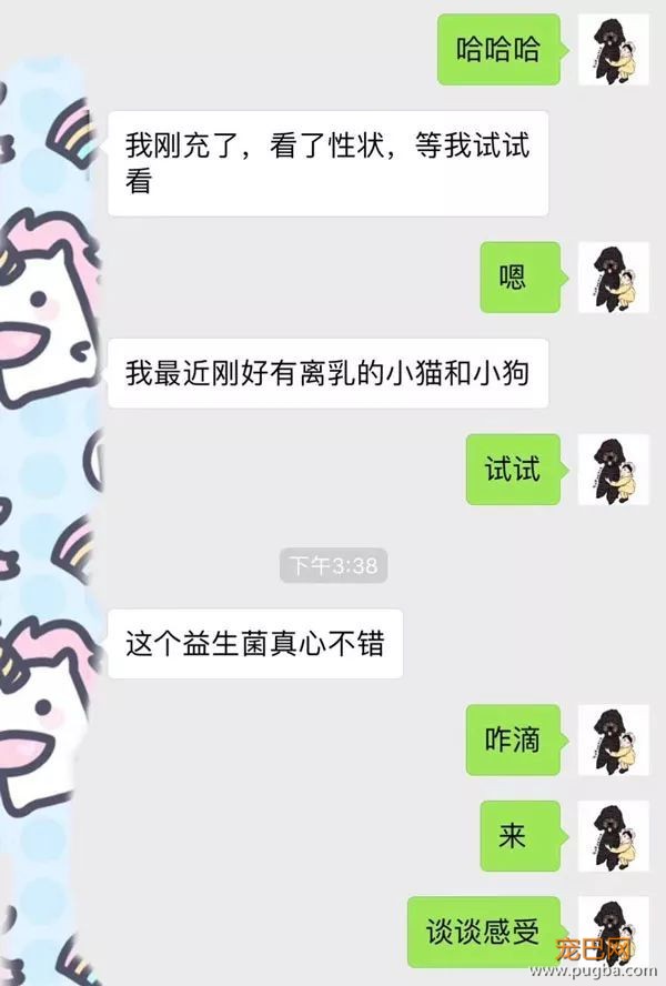守护猫狗肠道健康这件小事，请交给台湾乐多菌Pro BC-15.jpeg