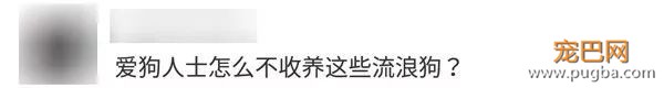 湘潭大学女生被群狗撕咬，动保协会该赔钱？-5.jpeg