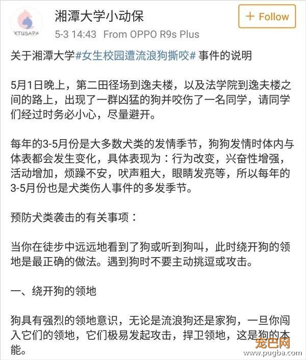 湘潭大学女生被群狗撕咬，动保协会该赔钱？-12.jpeg